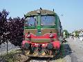 FS diesel locomotive D343 2009 during a locomotive exhibition in Cremona station on May 18th, 2003.