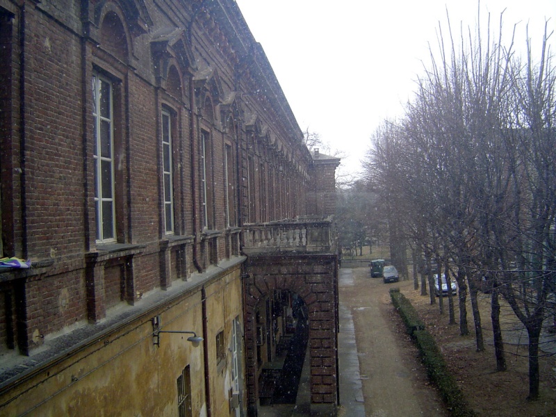 Click for original image