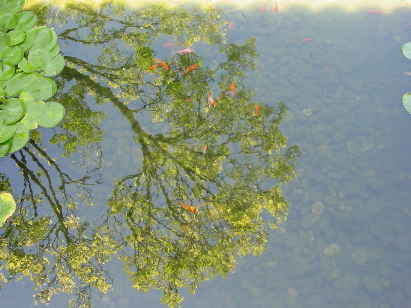 Click for original image