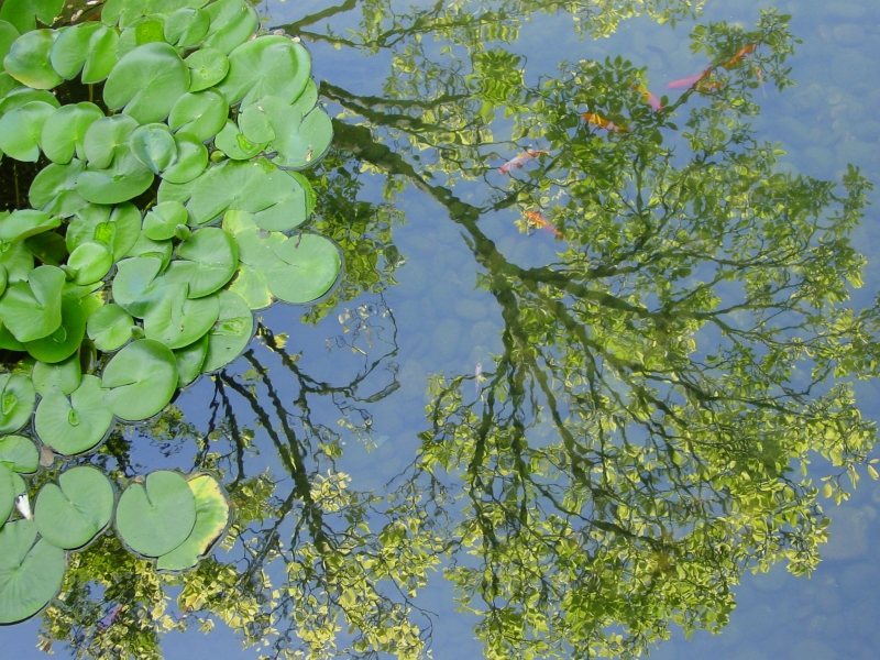 Click for original image