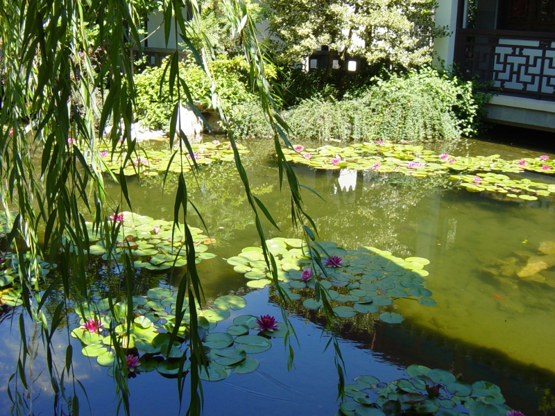 Click for original image