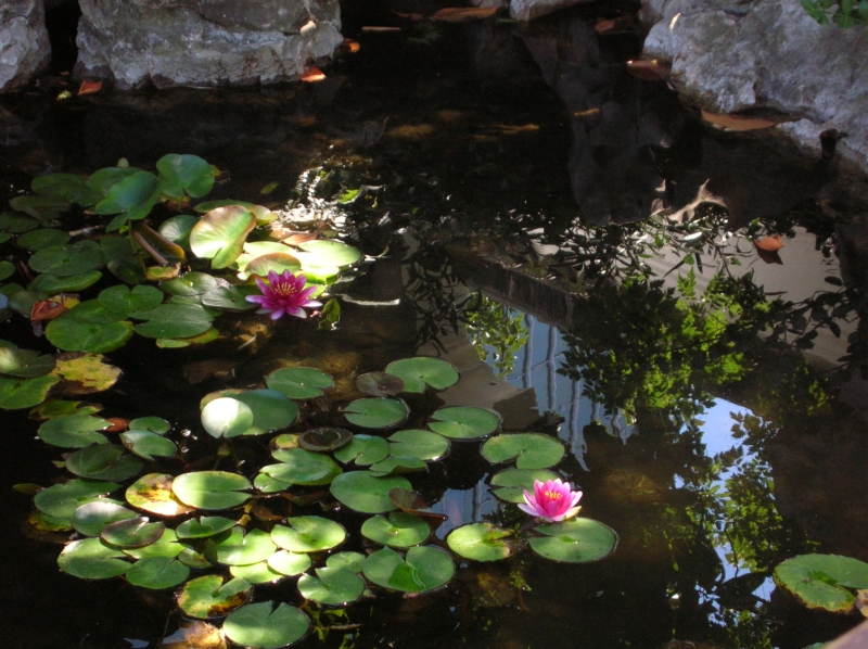 Click for original image