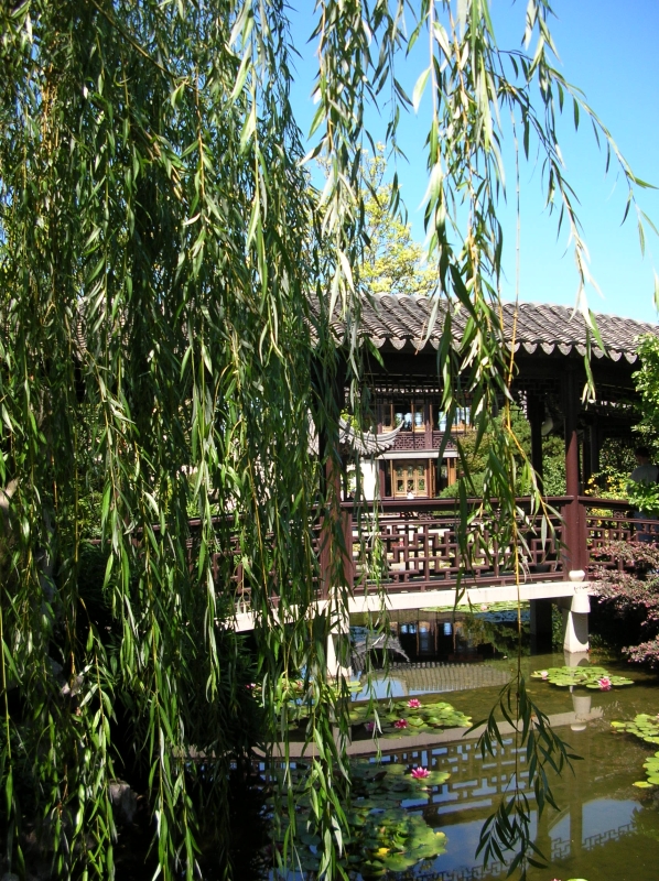 Click for original image