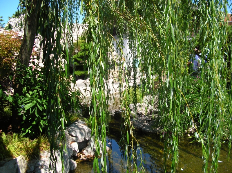 Click for original image