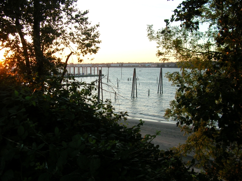 Click for original image