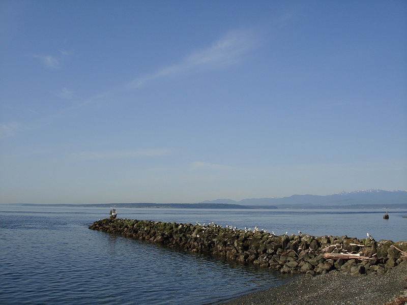 DSC02359 