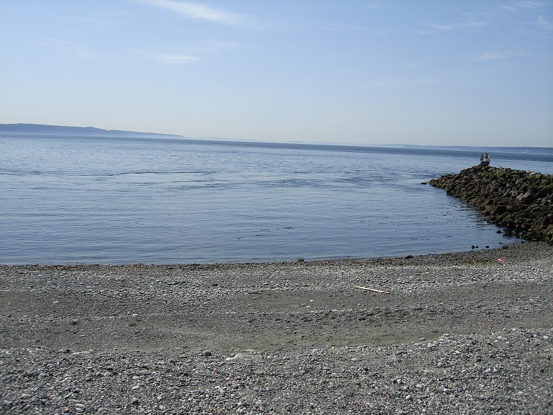 DSC02384 