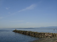 DSC02359 