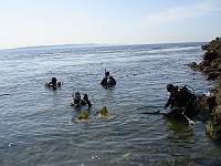 DSC02374 
