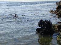 DSC02375 