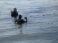 DSC02377 