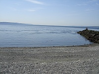 DSC02384 