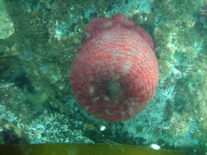DSC02473 