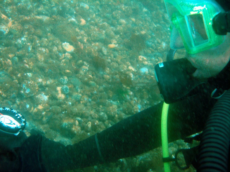 DSC02480 Brett is checking the compass.