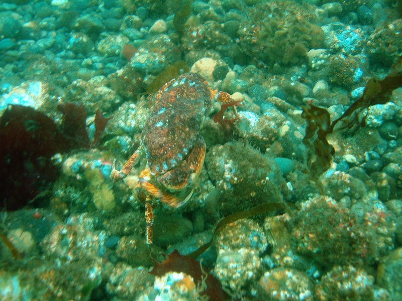 DSC02483 