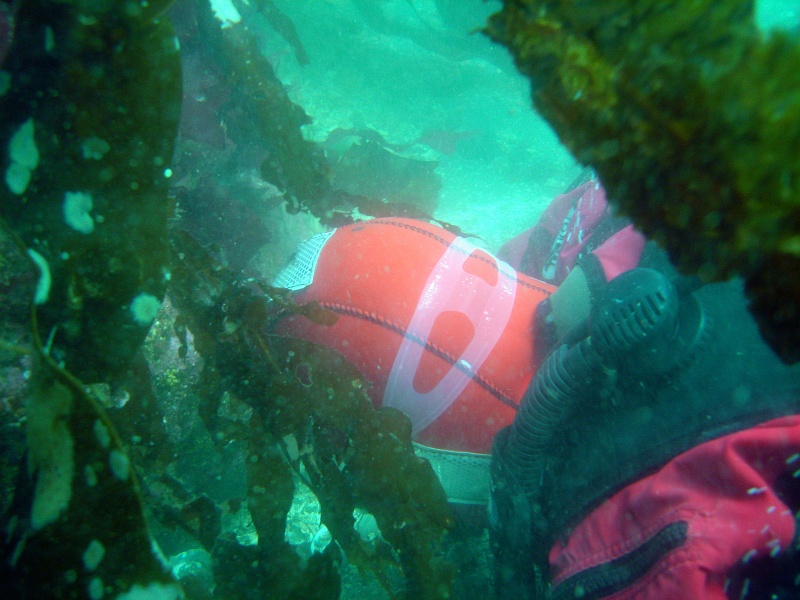 DSC02517 My instructor is inspecting something...