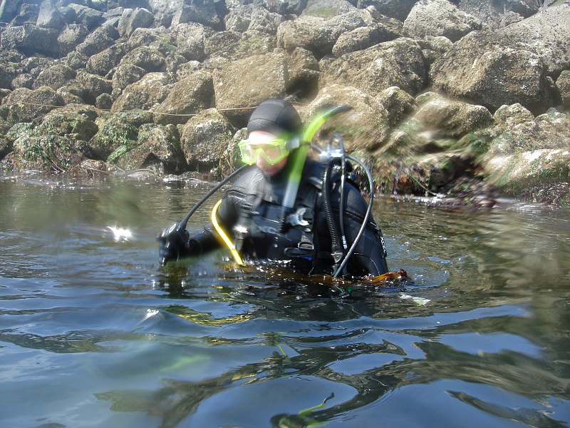 DSC02524 Ready to dive again.