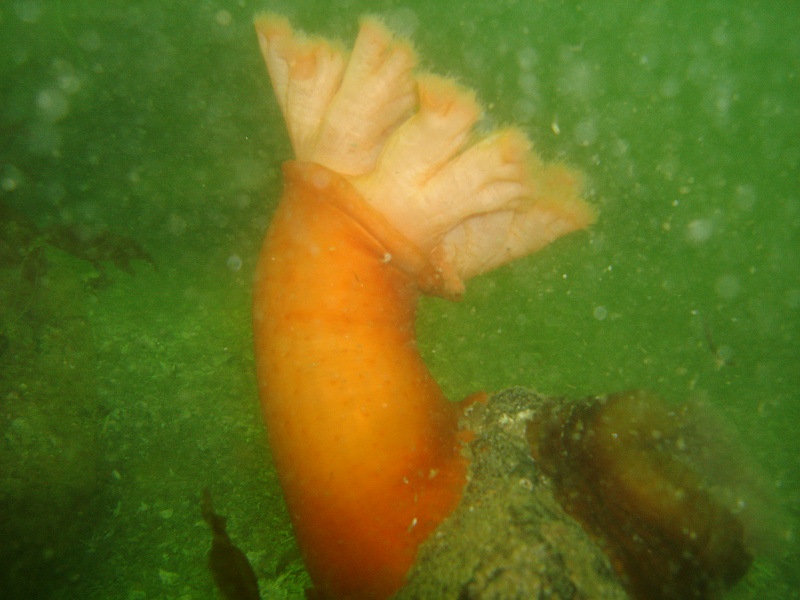 DSC02540 