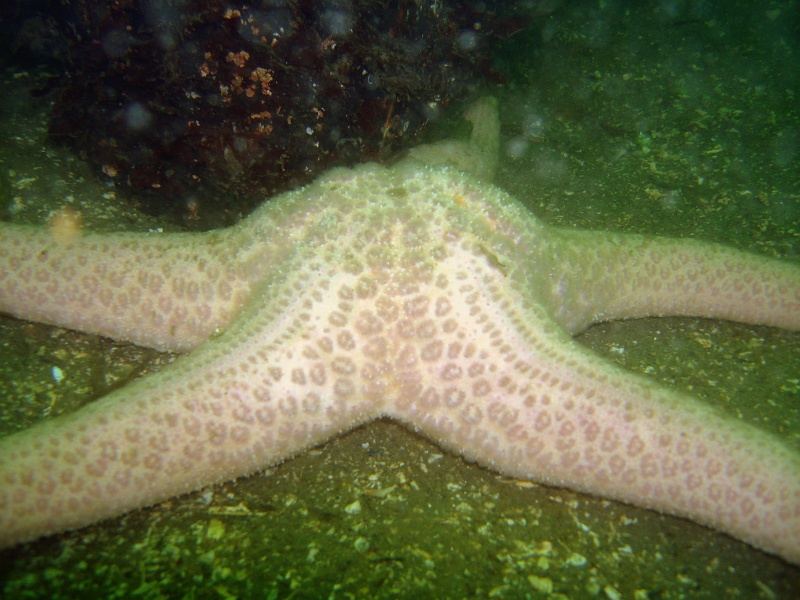 DSC02546 