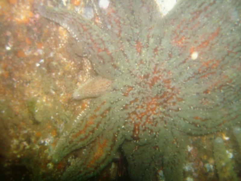 DSC02561 