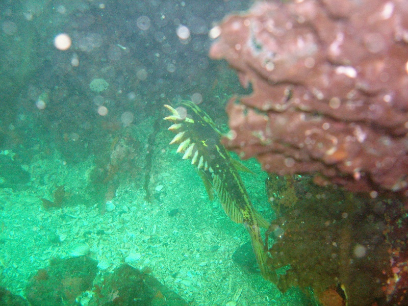 DSC02604 