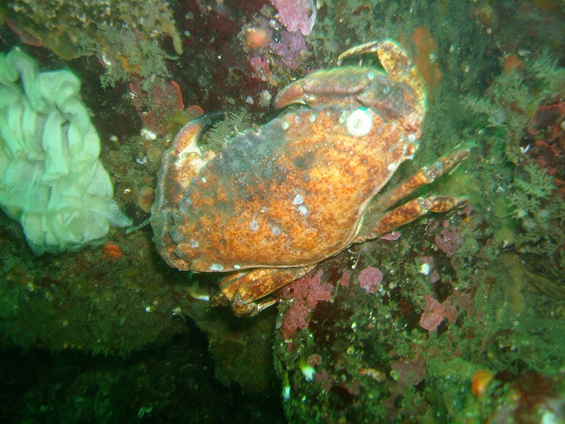 DSC02606 