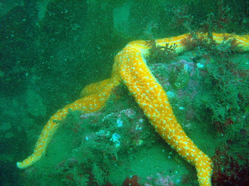 DSC02636 