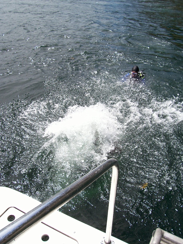 DSC02643_0828 