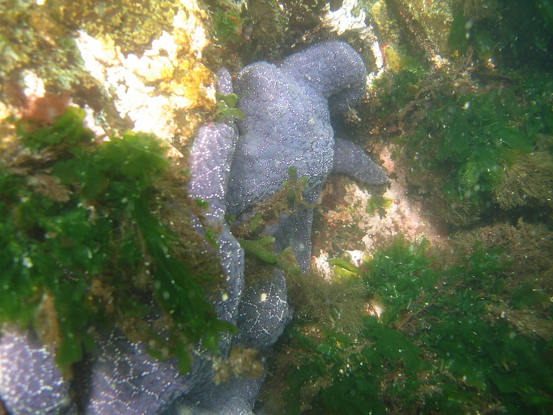 DSC02644 