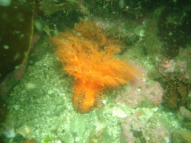 DSC02645 