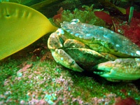 DSC02500 