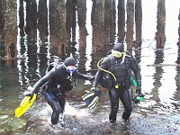 DSC02522_0754 Back from the first dive, around the pier poles.
