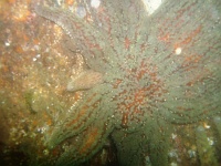 DSC02561 