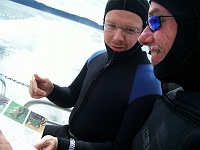 DSC02623_0786 