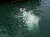 DSC02623_0803 