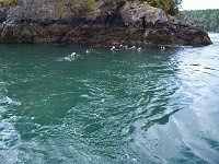 DSC02623_0804 