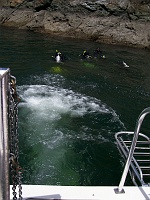 DSC02623_0850 