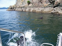 DSC02623_0852 