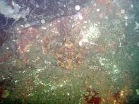 DSC02664