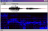 Speech recognition